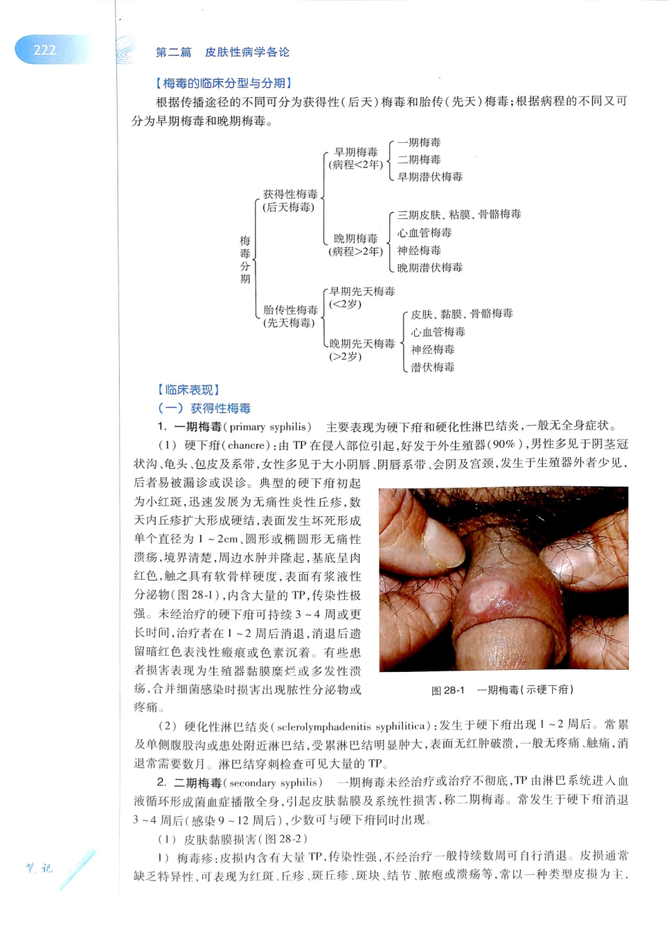 29.皮肤性病学(第8版)_241-252.pdf_第1页