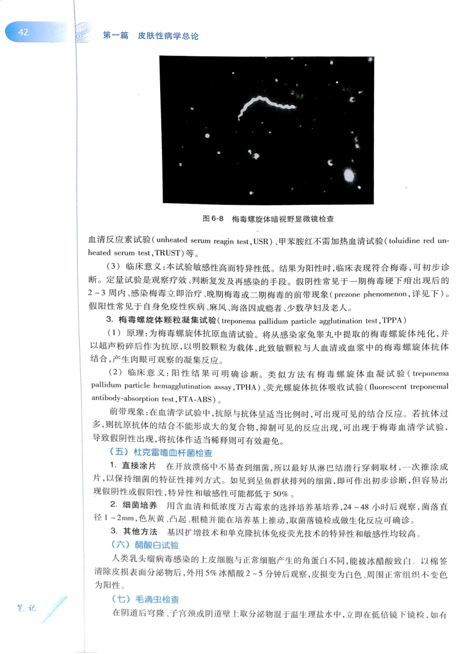 29.皮肤性病学(第8版)_61-72.pdf_第1页