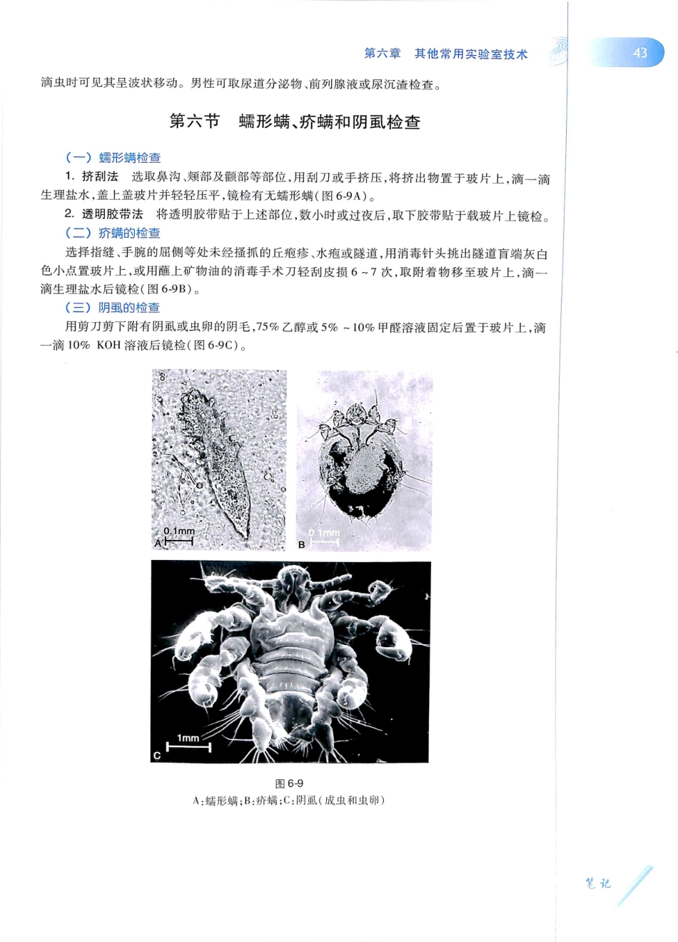 29.皮肤性病学(第8版)_61-72.pdf_第2页