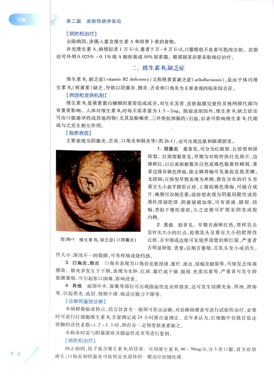 29.皮肤性病学(第8版)_217-228.pdf_第1页