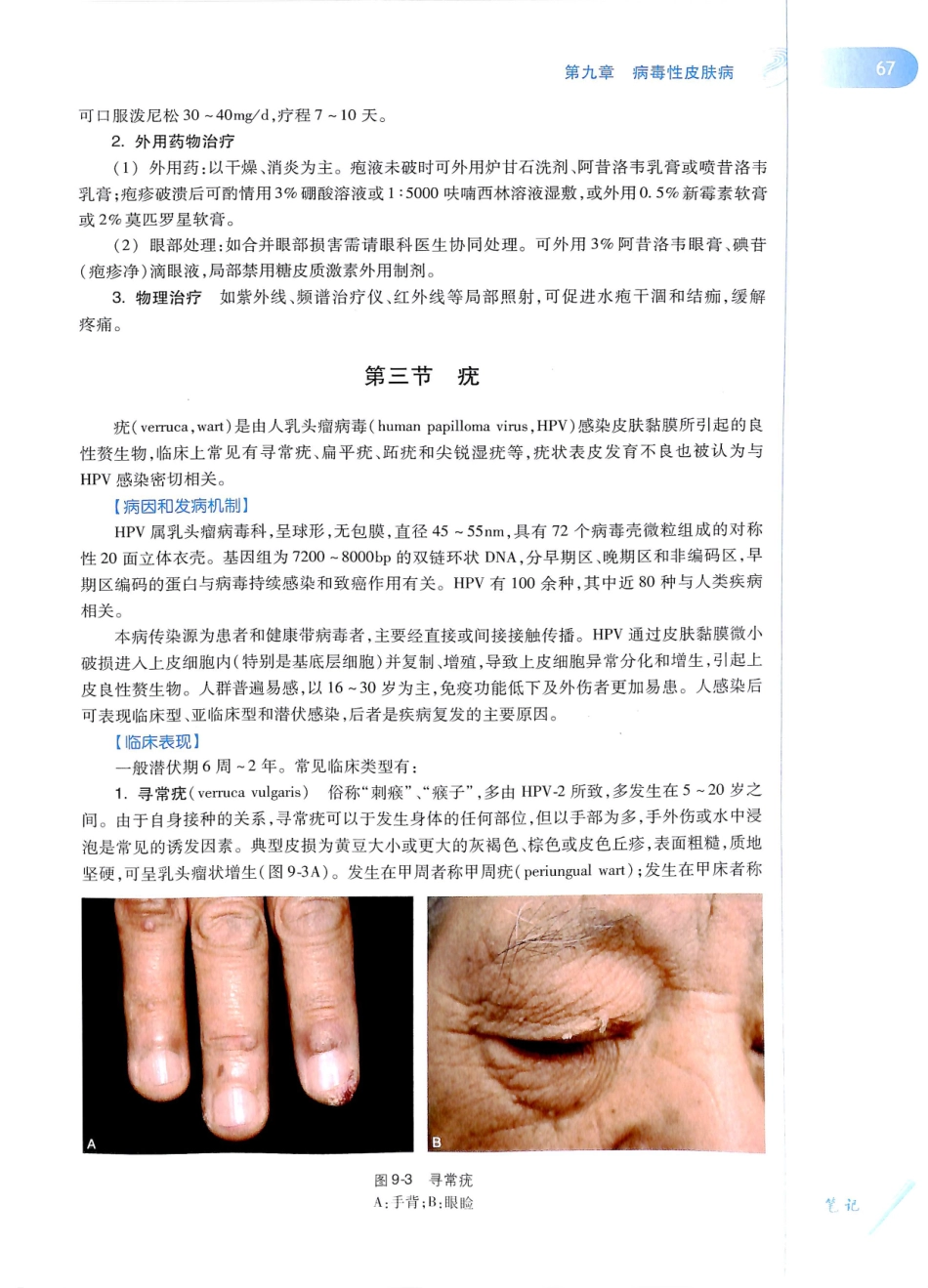 29.皮肤性病学(第8版)_85-96.pdf_第2页