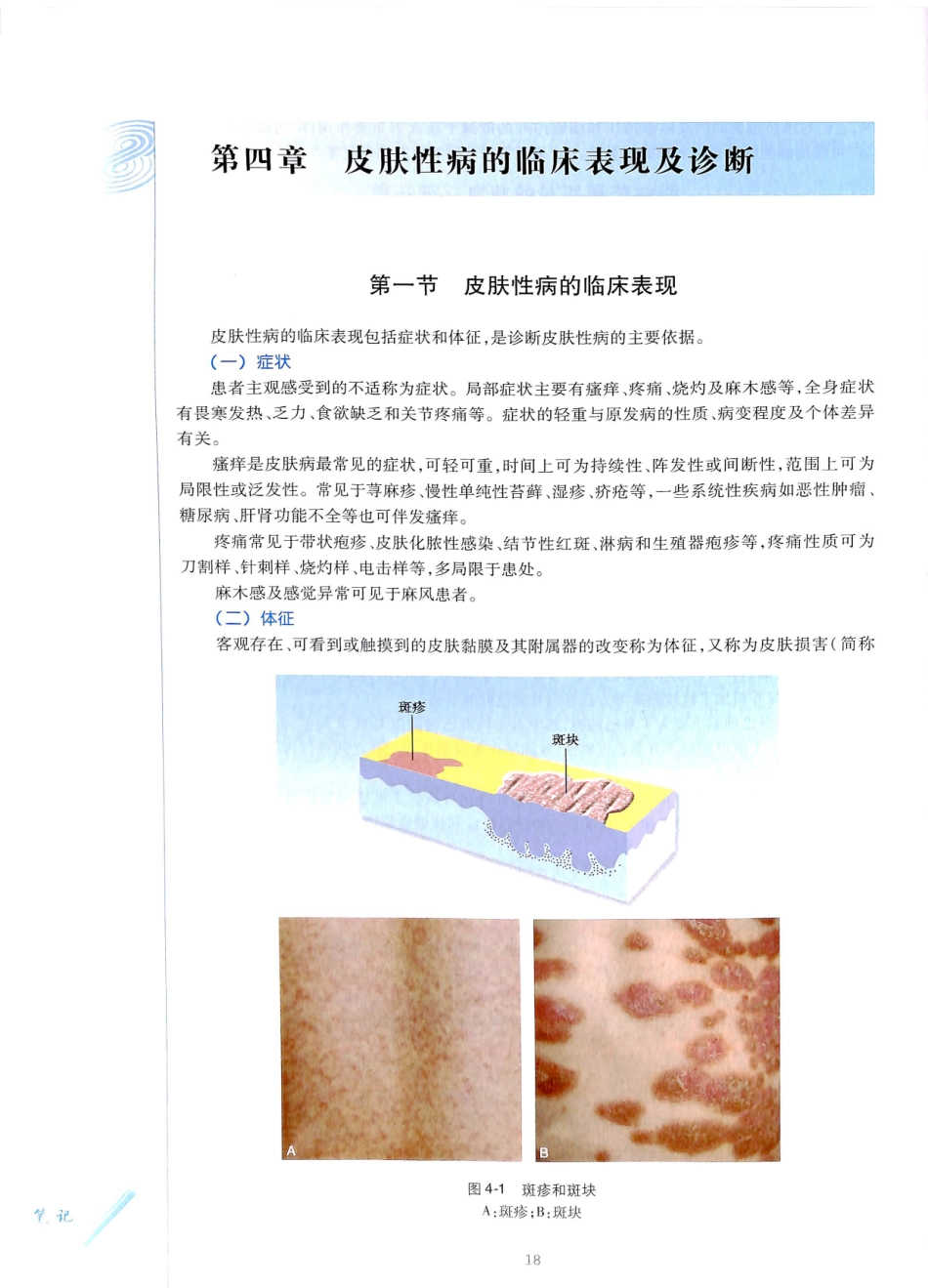 29.皮肤性病学(第8版)_37-48.pdf_第1页