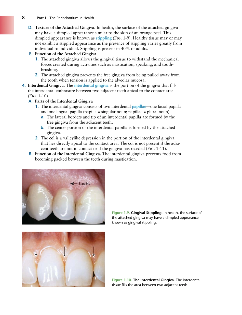 牙周2012Foundations of Periodontics for the Dental Hygienist _26-50.pdf_第1页