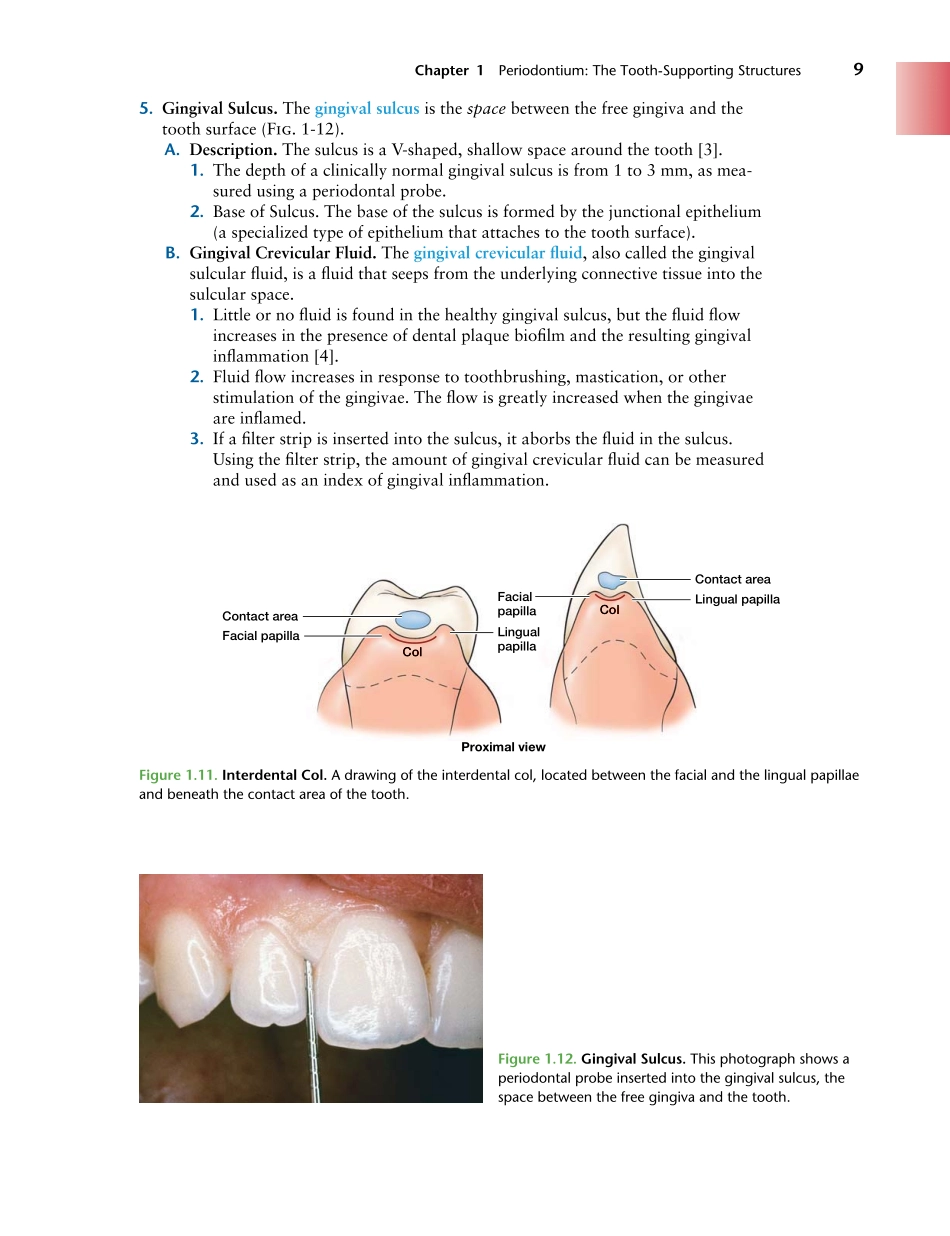 牙周2012Foundations of Periodontics for the Dental Hygienist _26-50.pdf_第2页
