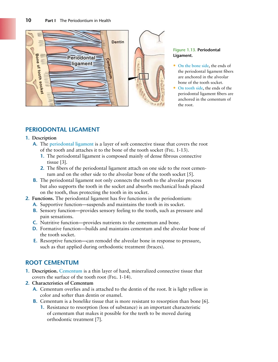 牙周2012Foundations of Periodontics for the Dental Hygienist _26-50.pdf_第3页