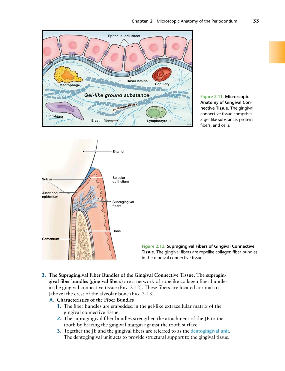 牙周2012Foundations of Periodontics for the Dental Hygienist _51-75.pdf_第1页