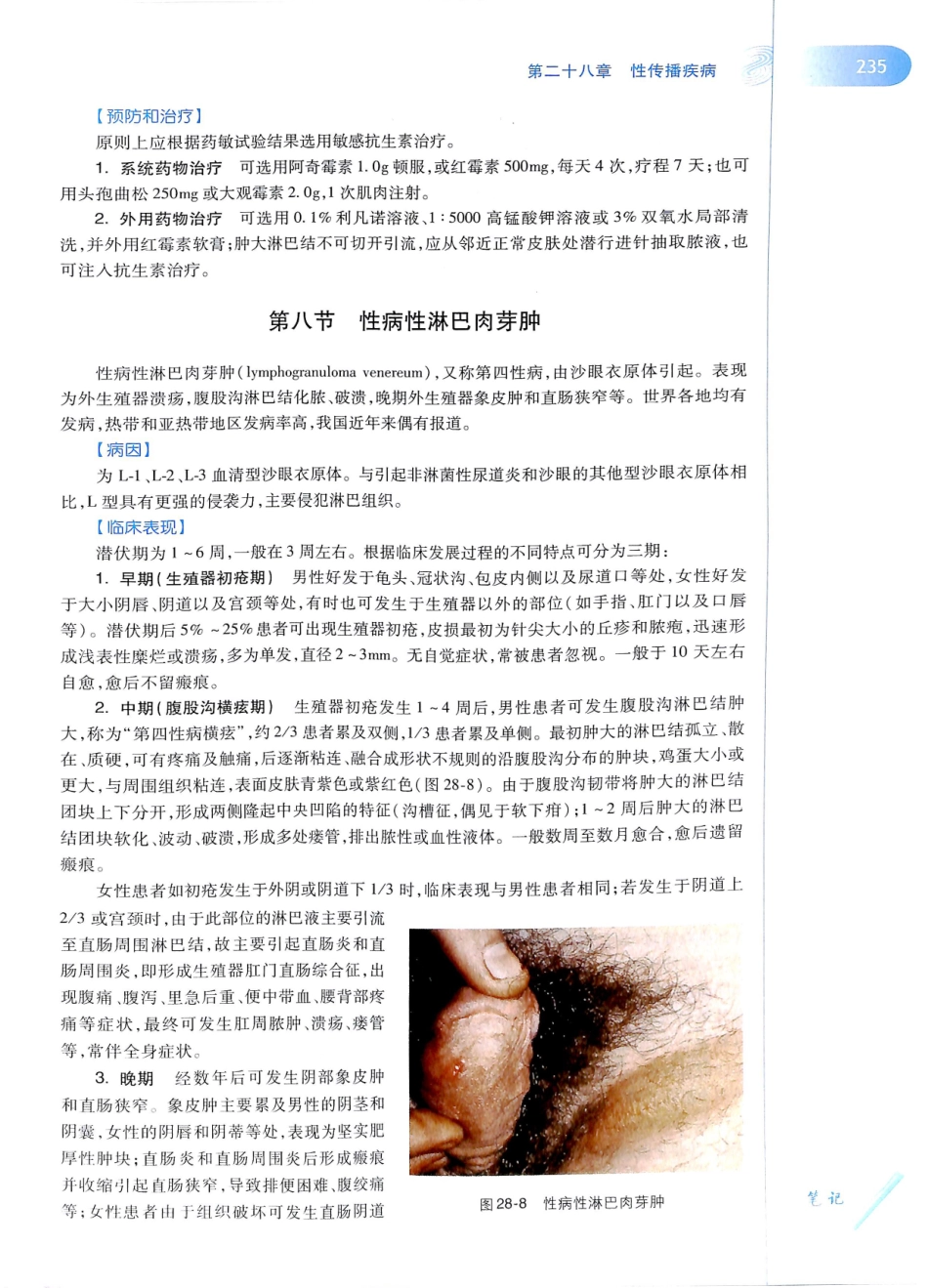 29.皮肤性病学(第8版)_253-264.pdf_第2页