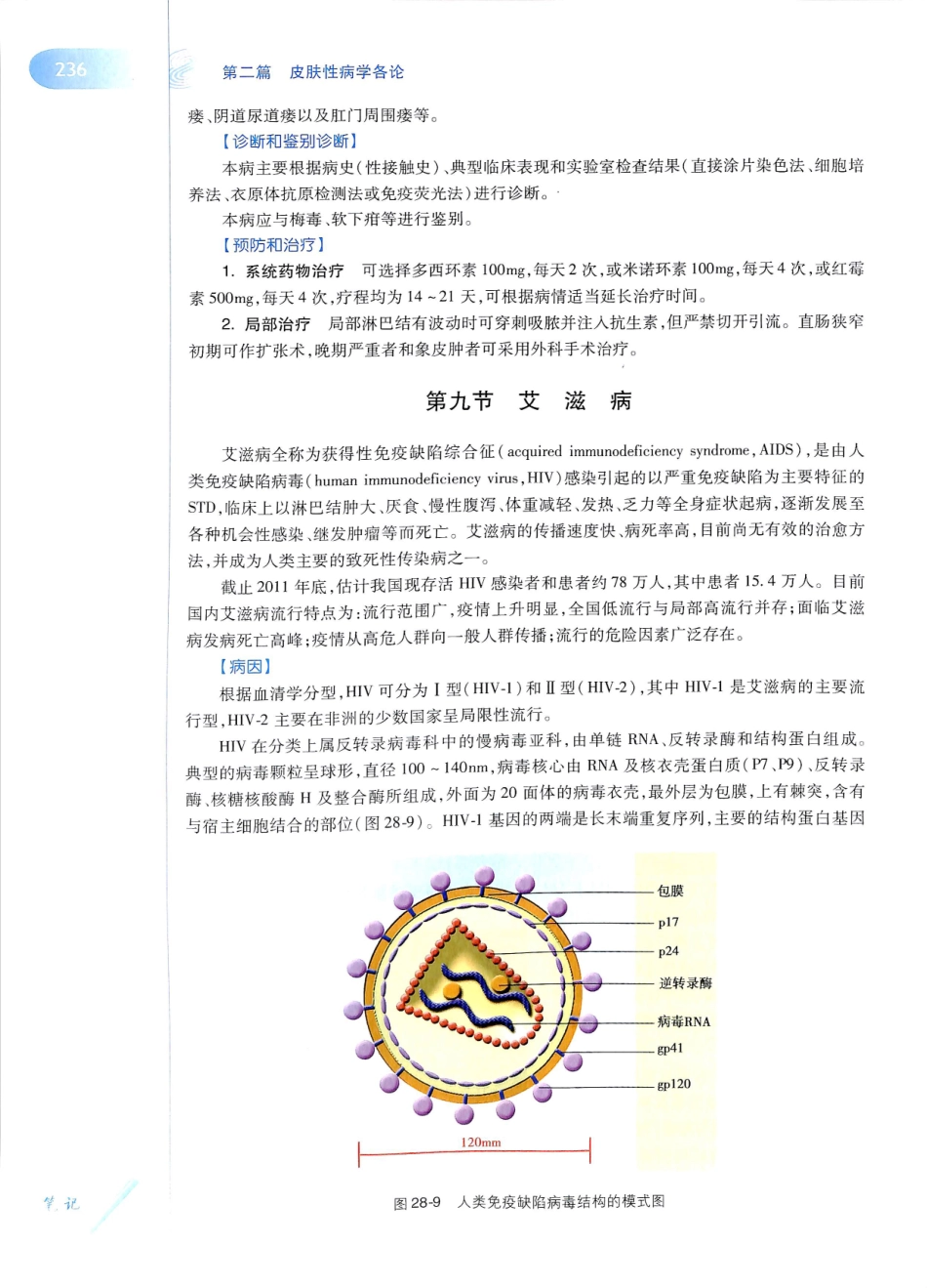 29.皮肤性病学(第8版)_253-264.pdf_第3页