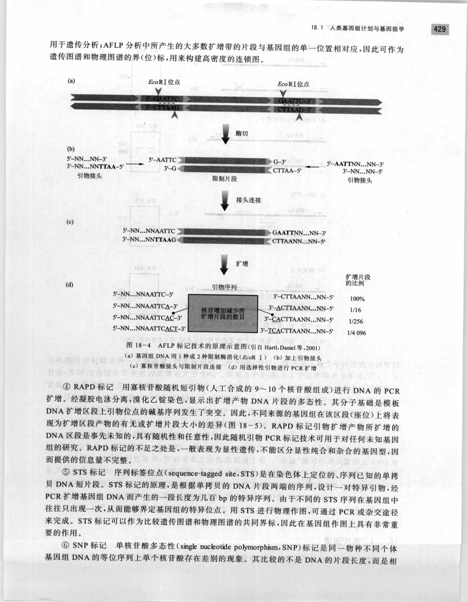 遗传学 第2版_11951378_441-460.pdf_第1页