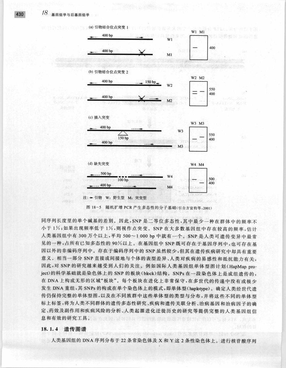 遗传学 第2版_11951378_441-460.pdf_第2页