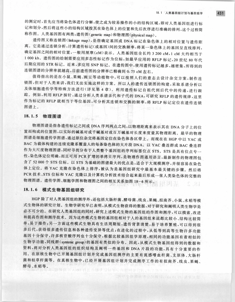 遗传学 第2版_11951378_441-460.pdf_第3页