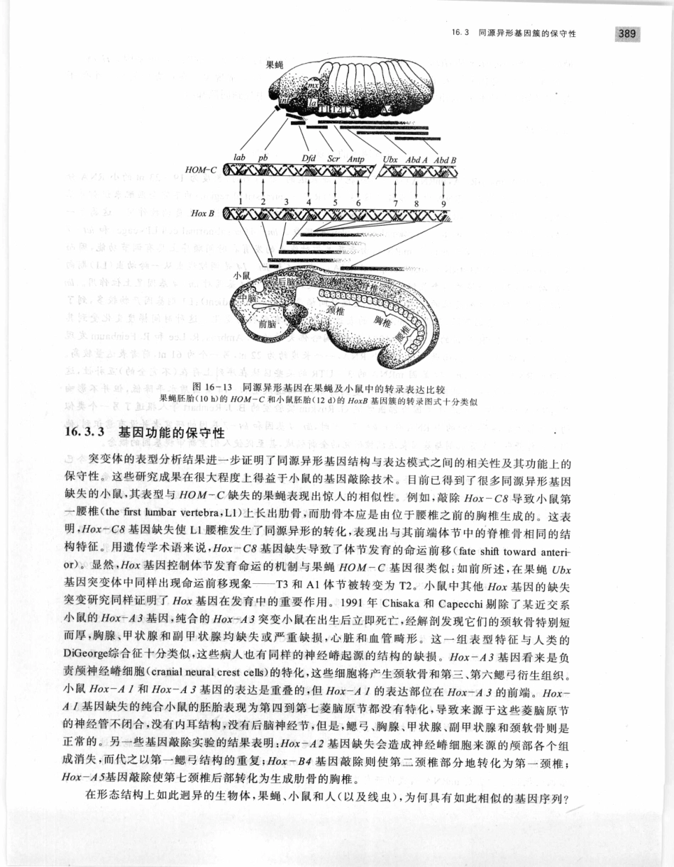 遗传学 第2版_11951378_401-420.pdf_第1页