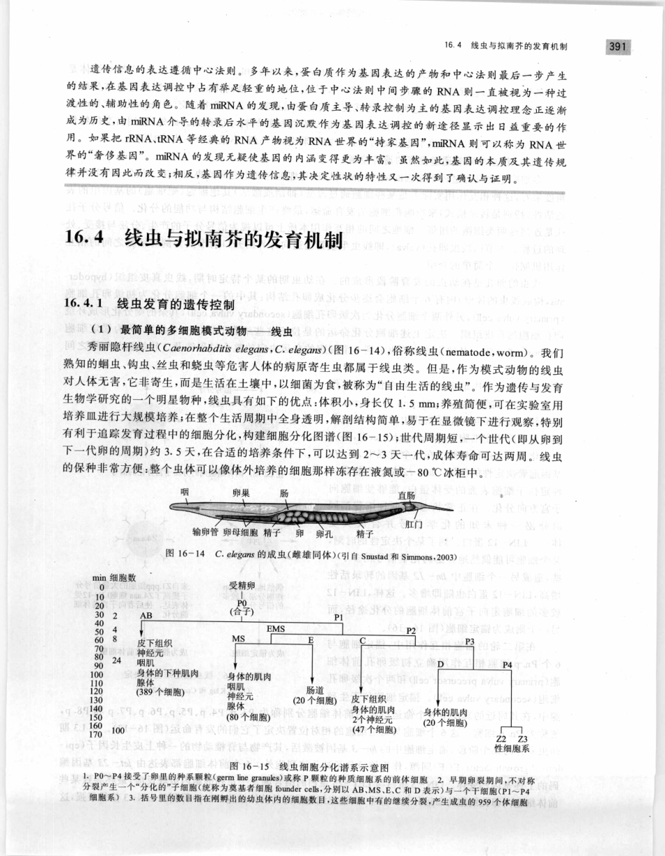 遗传学 第2版_11951378_401-420.pdf_第3页
