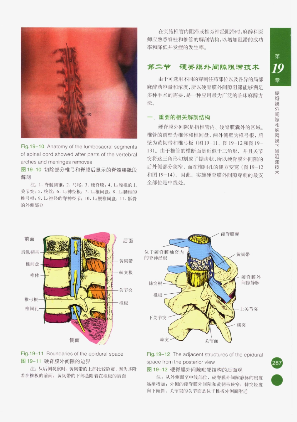 临床局部麻醉技术_301-325.pdf_第2页