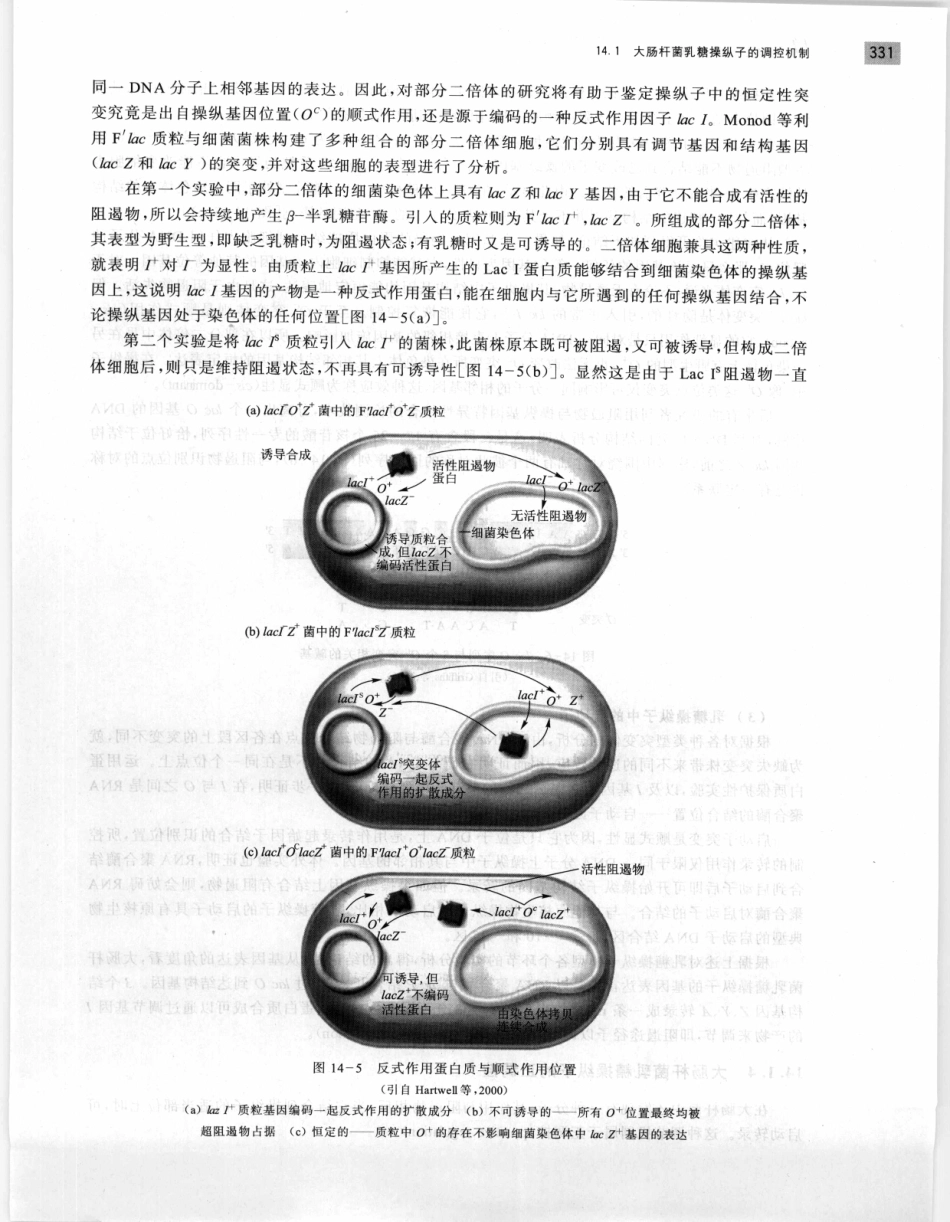 遗传学 第2版_11951378_341-360.pdf_第3页