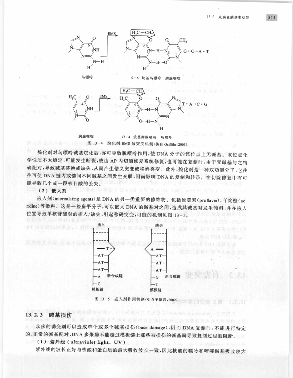 遗传学 第2版_11951378_321-340.pdf_第3页