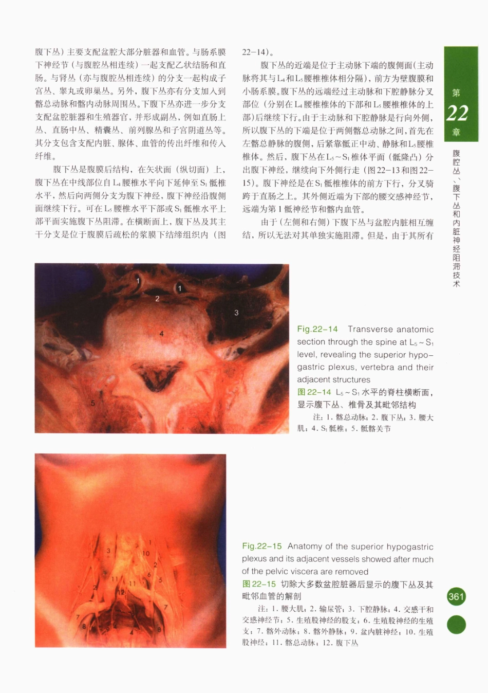 临床局部麻醉技术_376-400.pdf_第1页