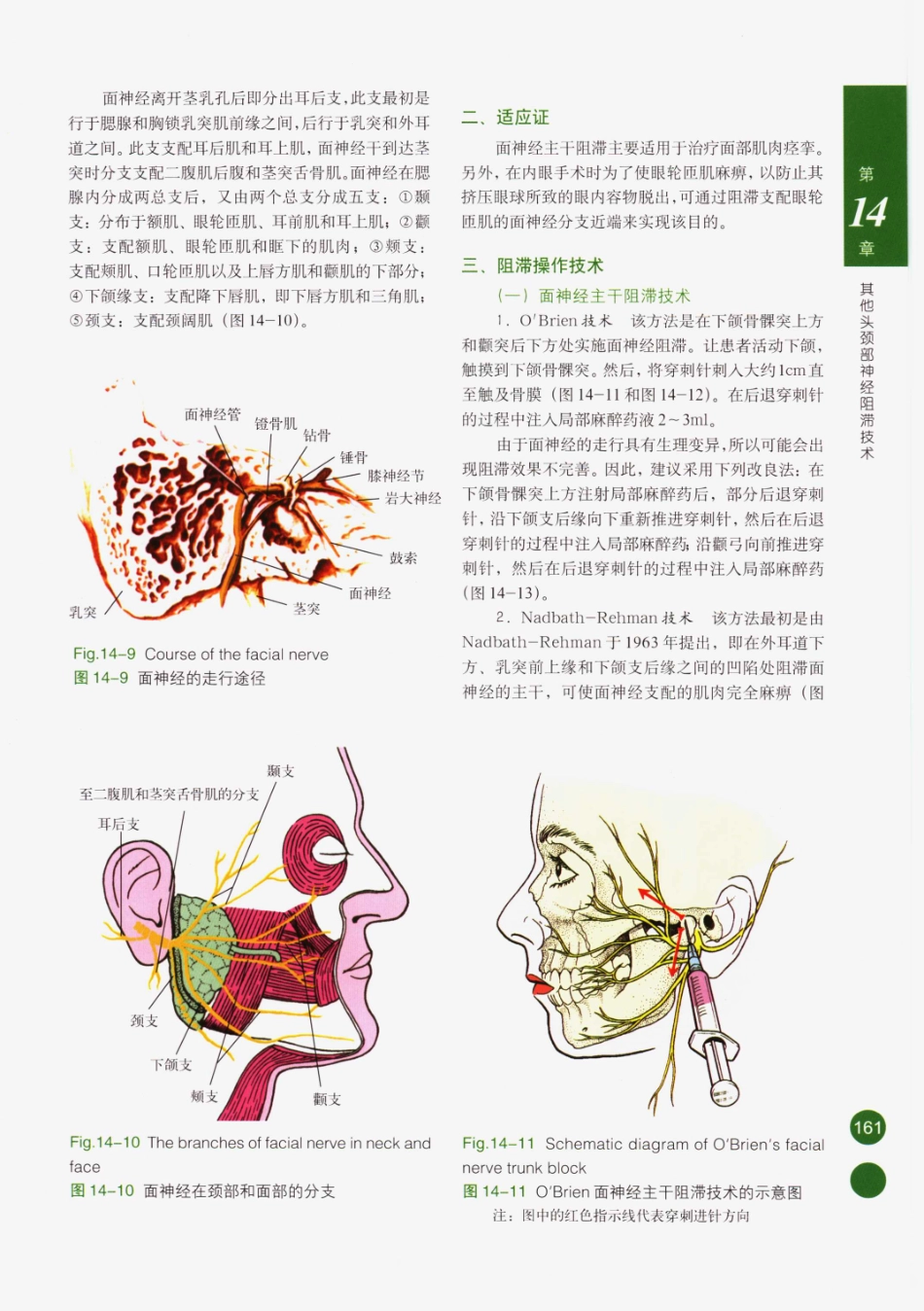 临床局部麻醉技术_176-200.pdf_第1页