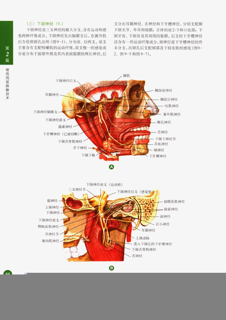 临床局部麻醉技术_101-125.pdf_第1页