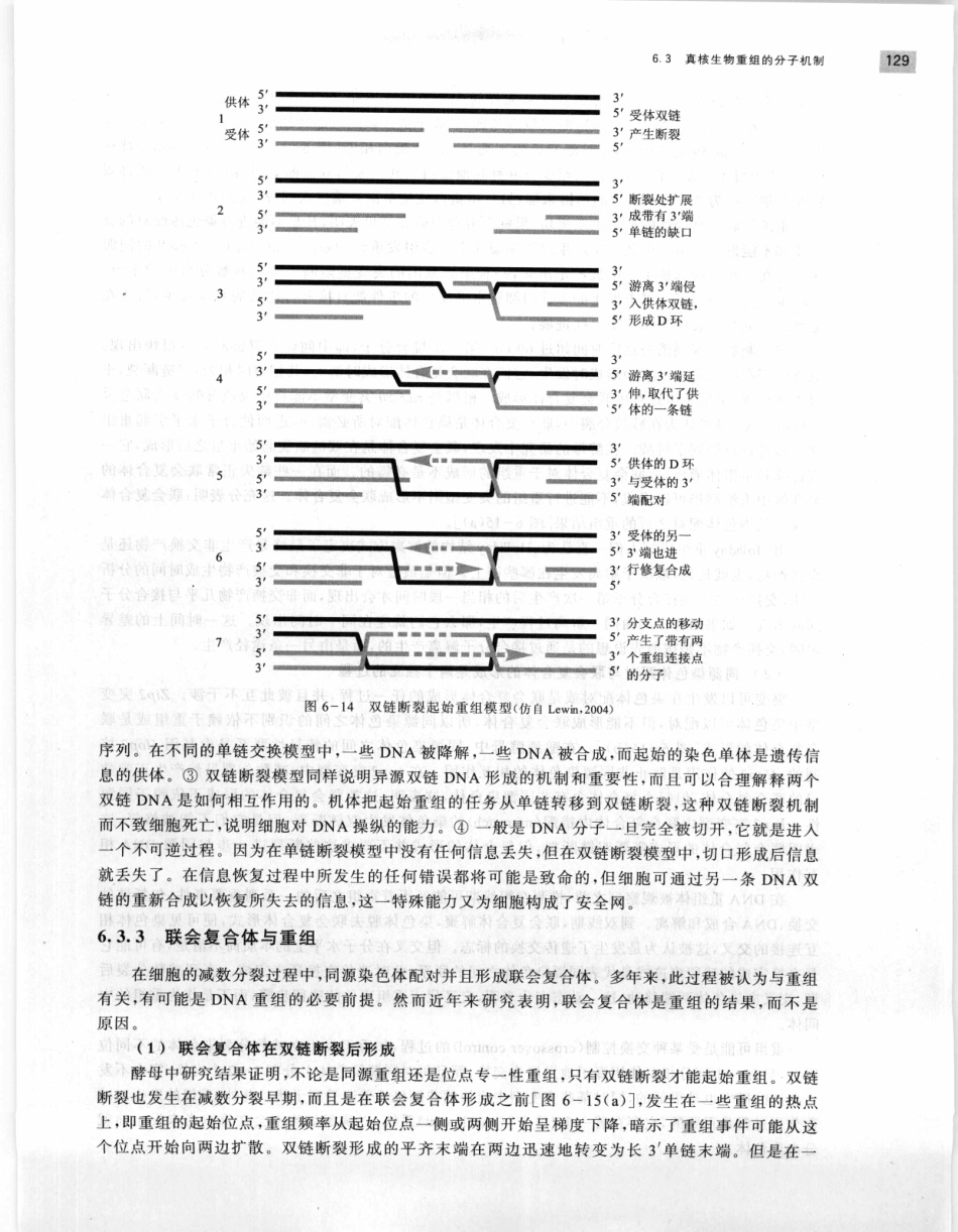 遗传学 第2版_11951378_141-160.pdf_第1页