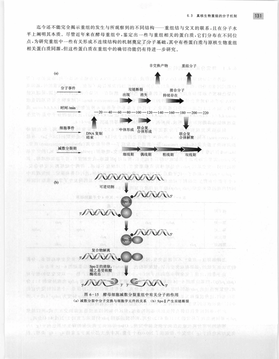 遗传学 第2版_11951378_141-160.pdf_第3页