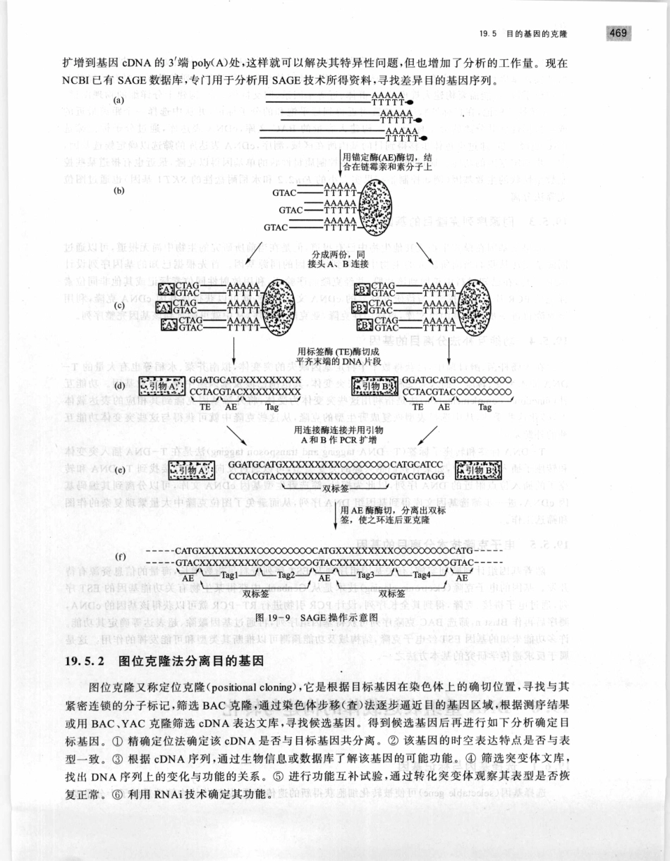 遗传学 第2版_11951378_481-500.pdf_第1页