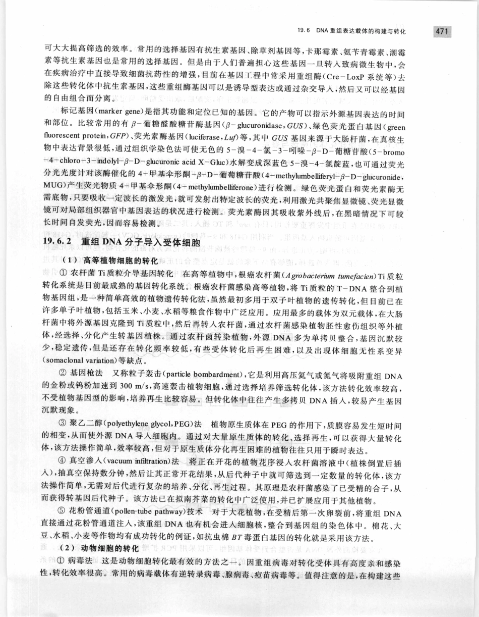 遗传学 第2版_11951378_481-500.pdf_第3页