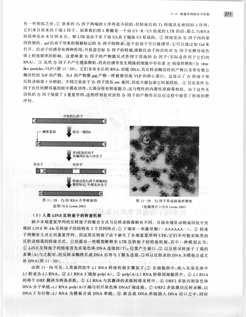 遗传学 第2版_11951378_281-300.pdf_第3页