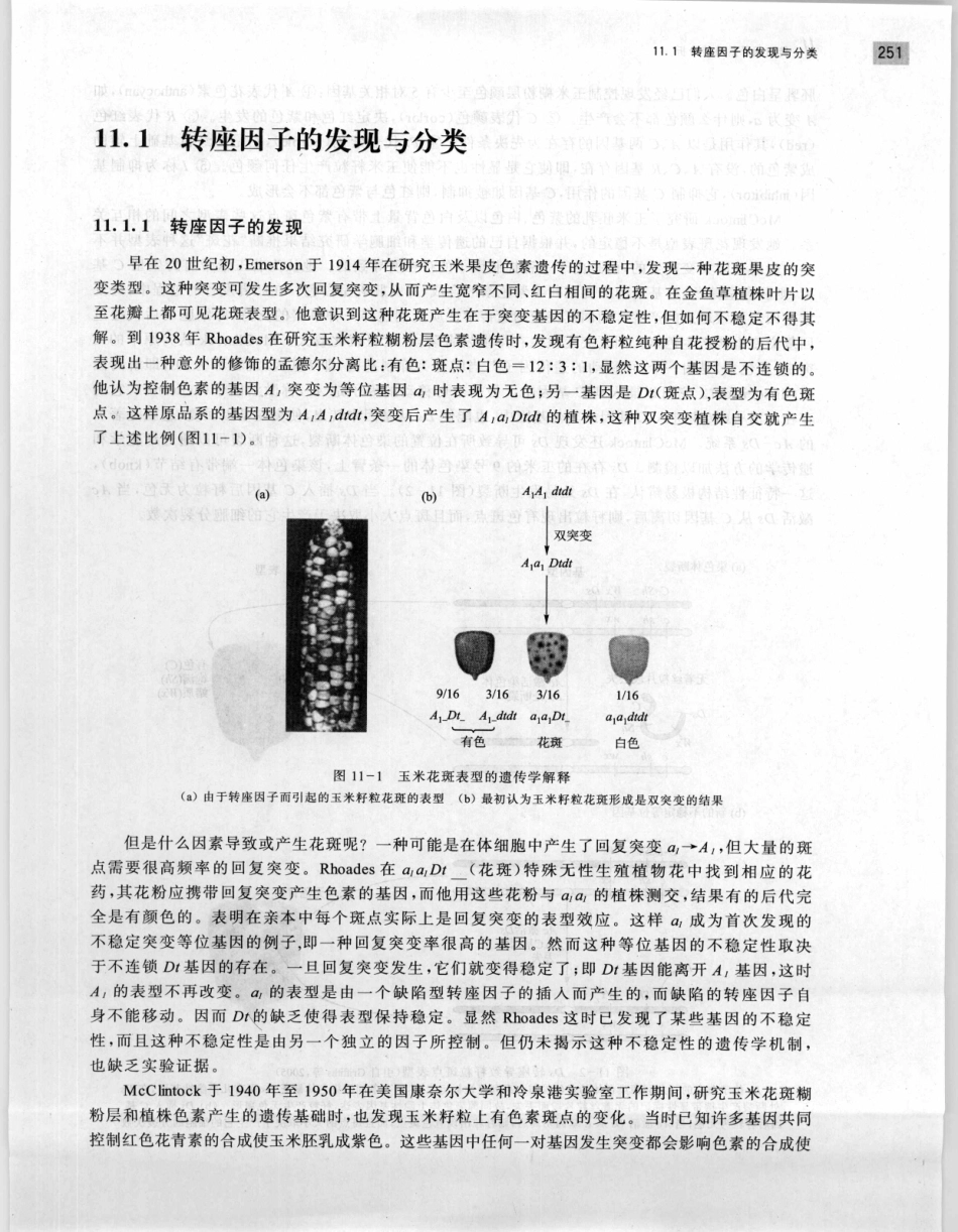 遗传学 第2版_11951378_261-280.pdf_第3页