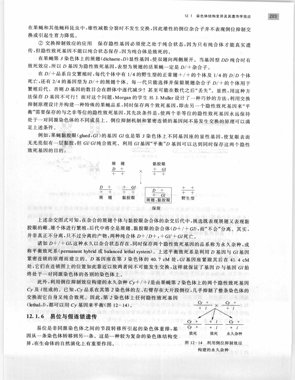 遗传学 第2版_11951378_301-320.pdf_第1页