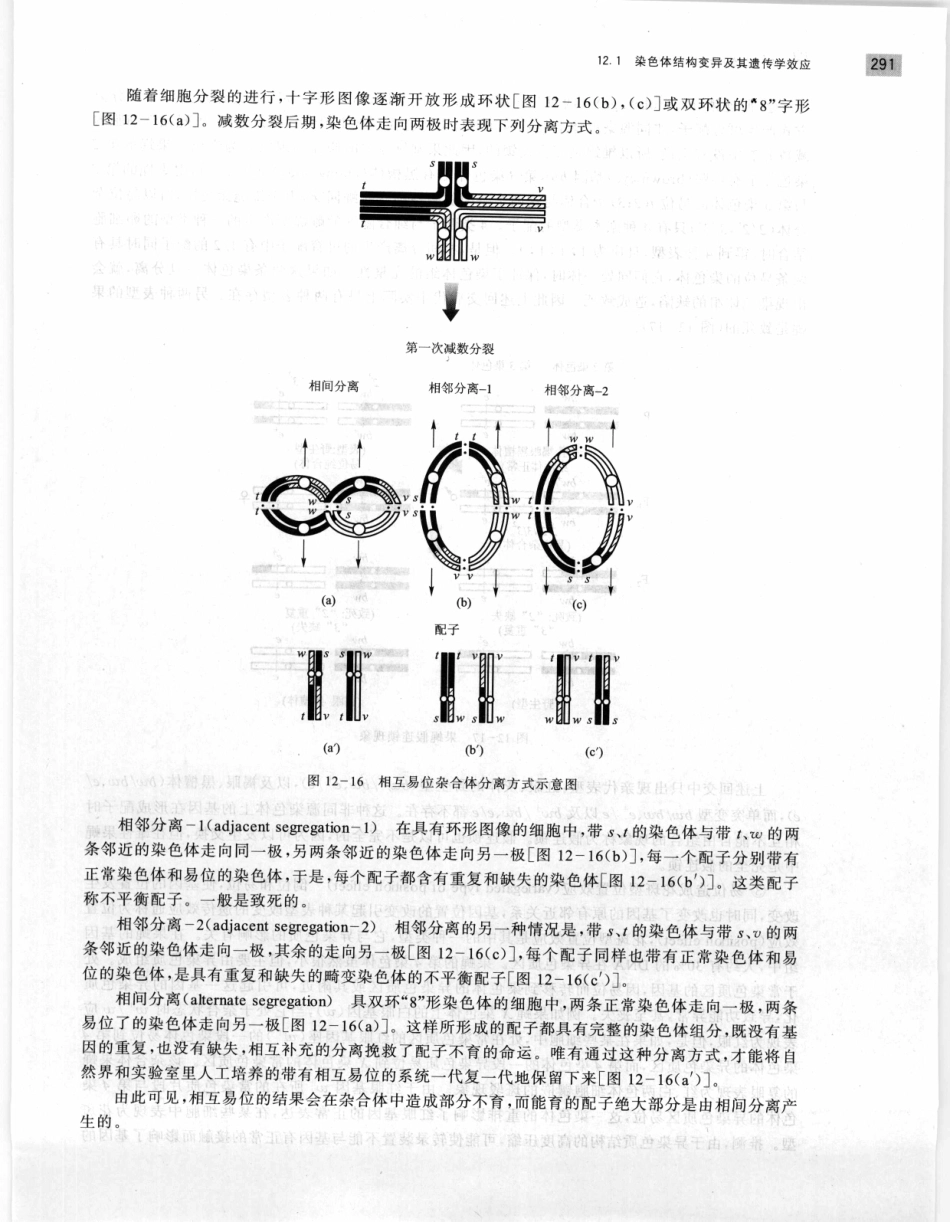 遗传学 第2版_11951378_301-320.pdf_第3页