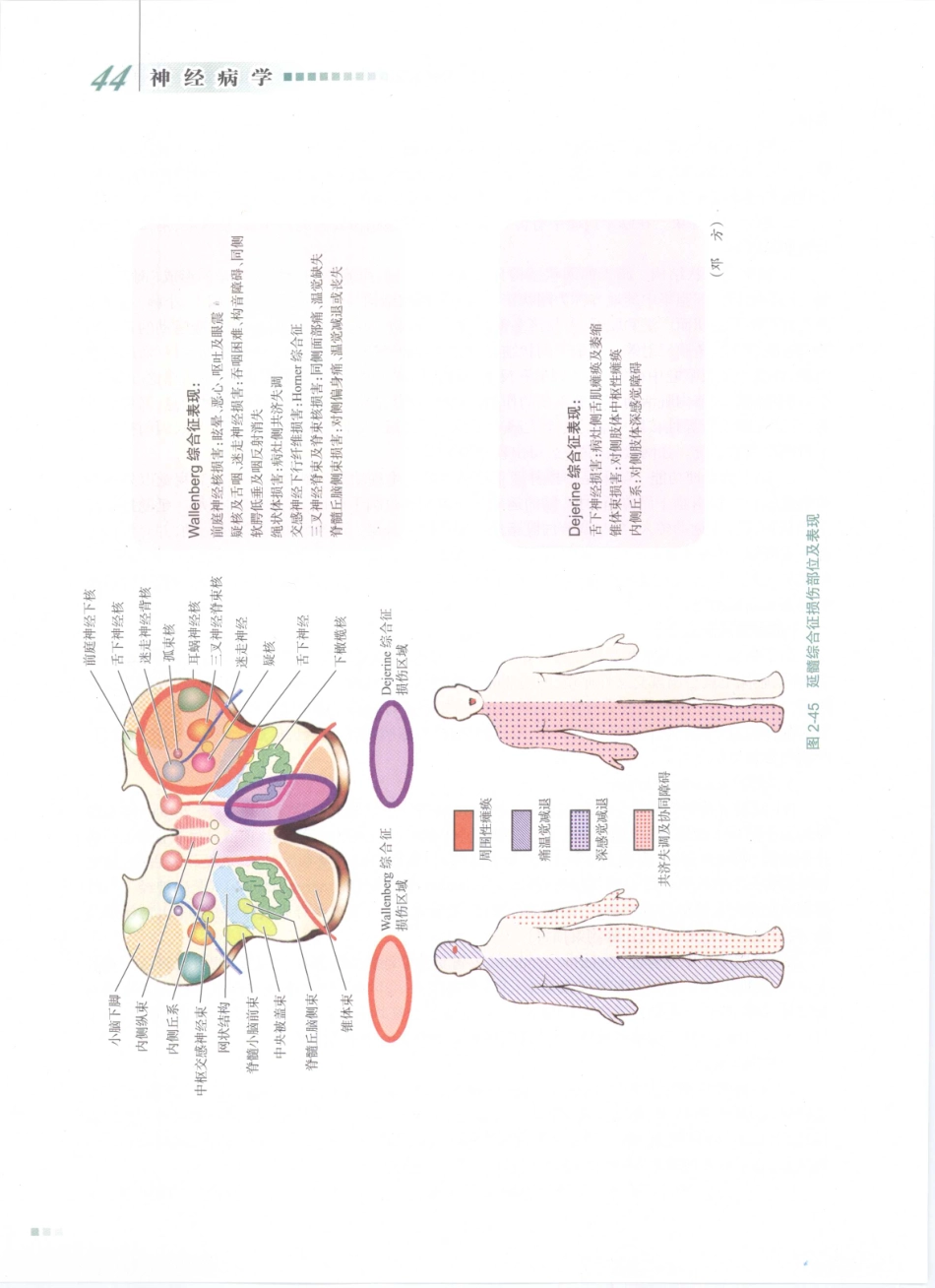 神经病学_八年制_61-80.pdf_第3页