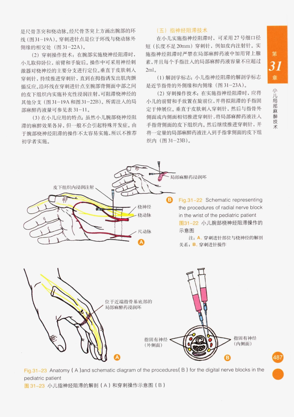 临床局部麻醉技术_501-525.pdf_第2页