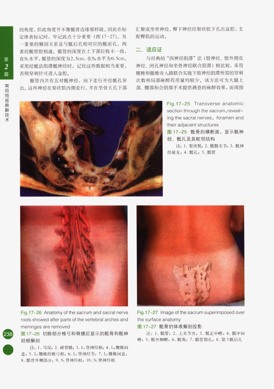 临床局部麻醉技术_251-275.pdf_第3页