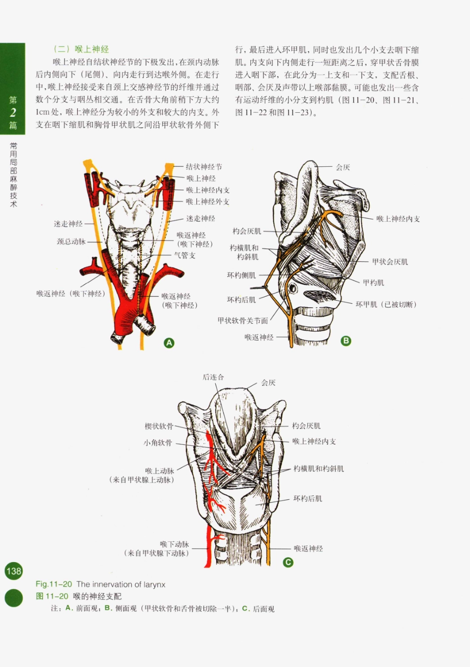 临床局部麻醉技术_151-175.pdf_第3页