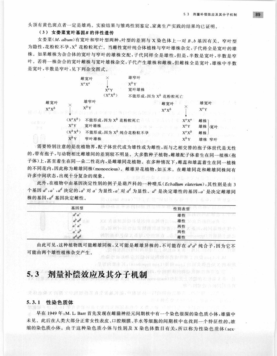 遗传学 第2版_11951378_101-120.pdf_第1页