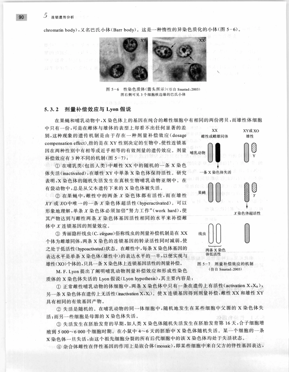 遗传学 第2版_11951378_101-120.pdf_第2页