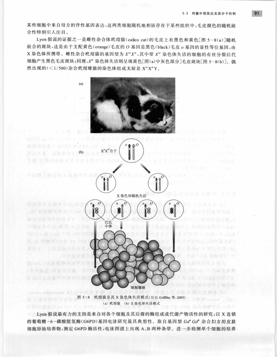 遗传学 第2版_11951378_101-120.pdf_第3页