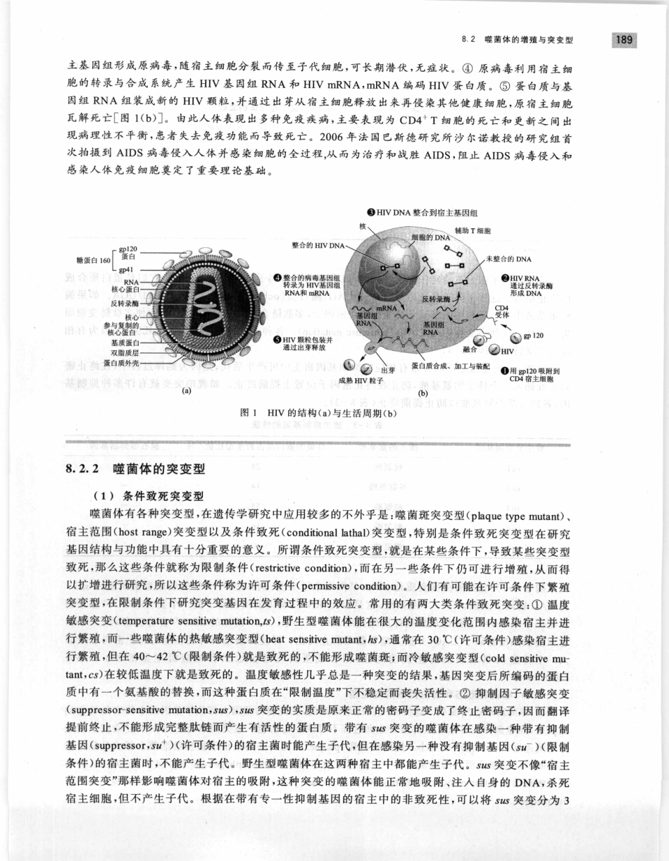 遗传学 第2版_11951378_201-220.pdf_第1页
