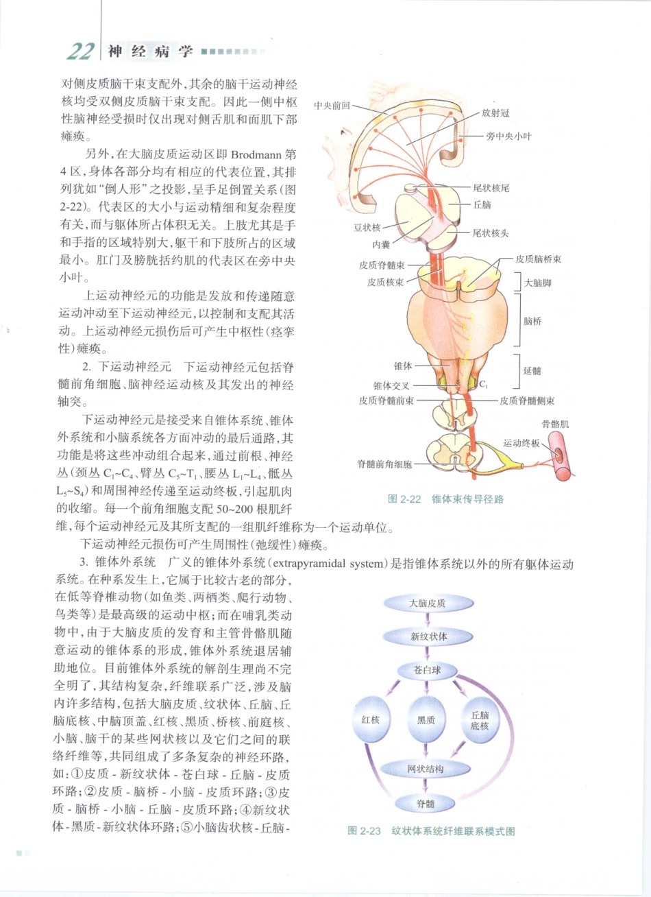 神经病学_八年制_41-60.pdf_第1页