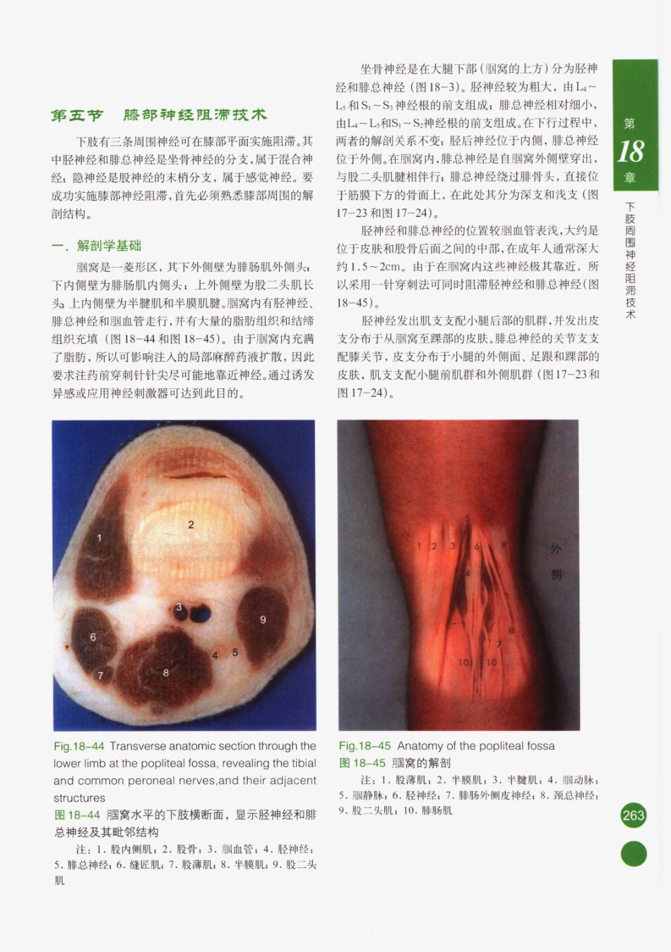 临床局部麻醉技术_276-300.pdf_第3页