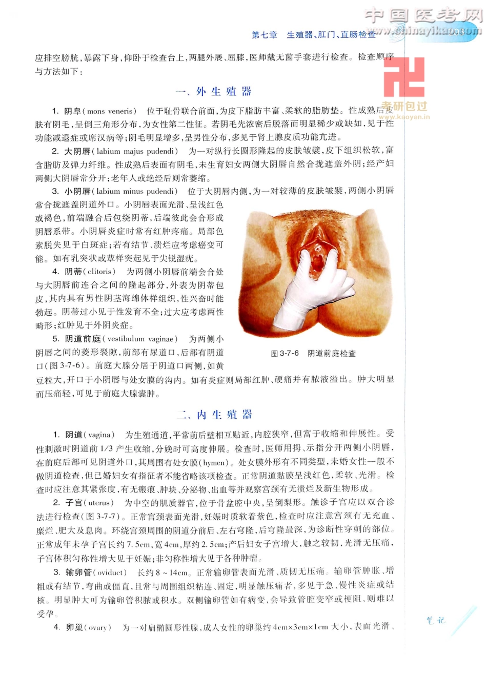 诊断学（第8版）_226-250.pdf_第3页