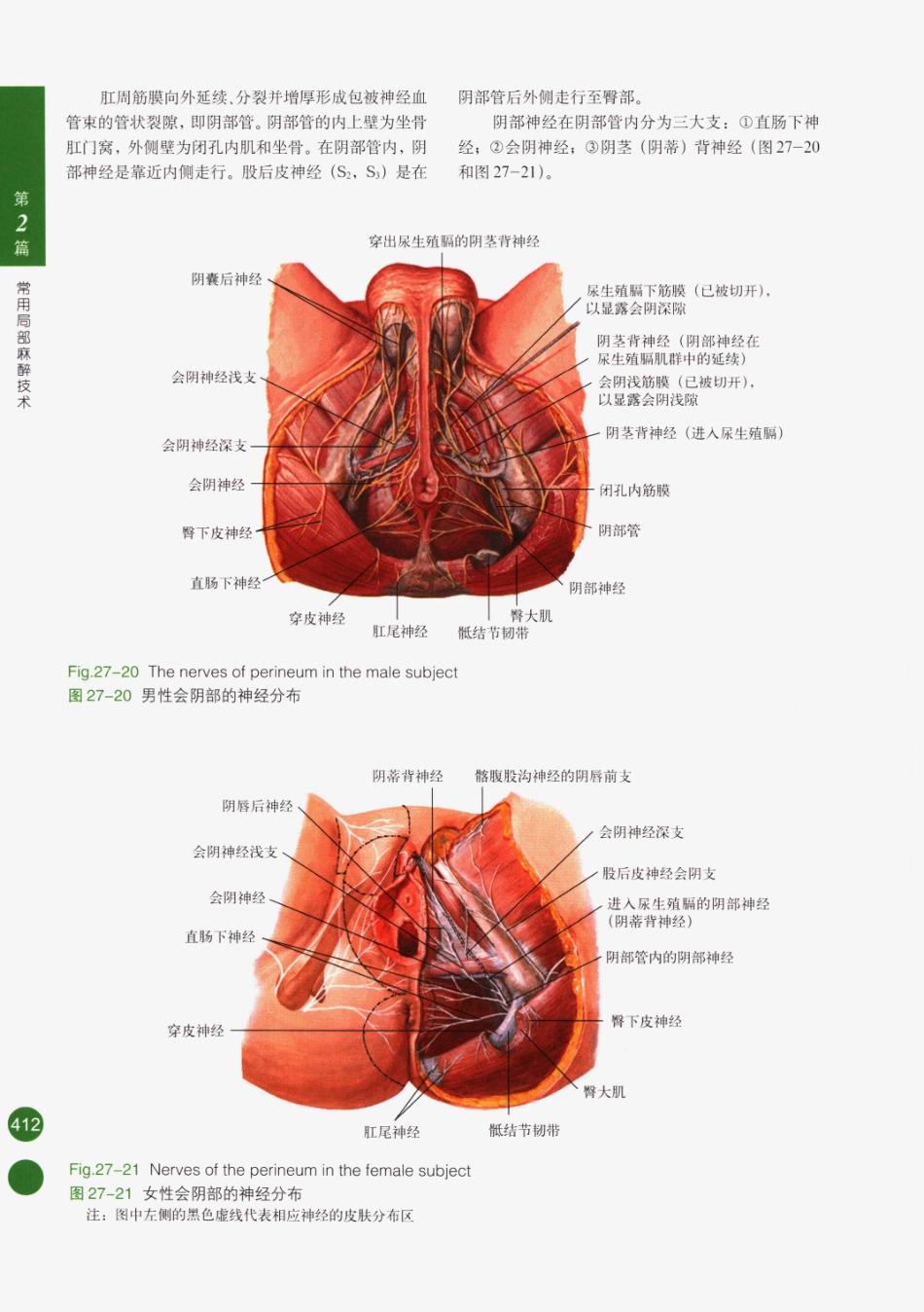 临床局部麻醉技术_426-450.pdf_第2页