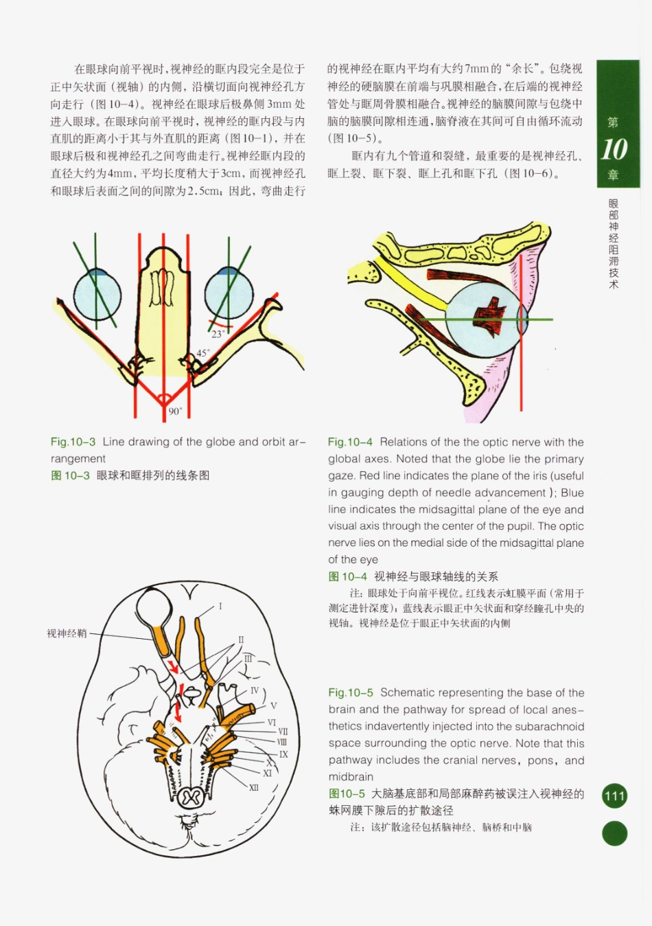 临床局部麻醉技术_126-150.pdf_第1页