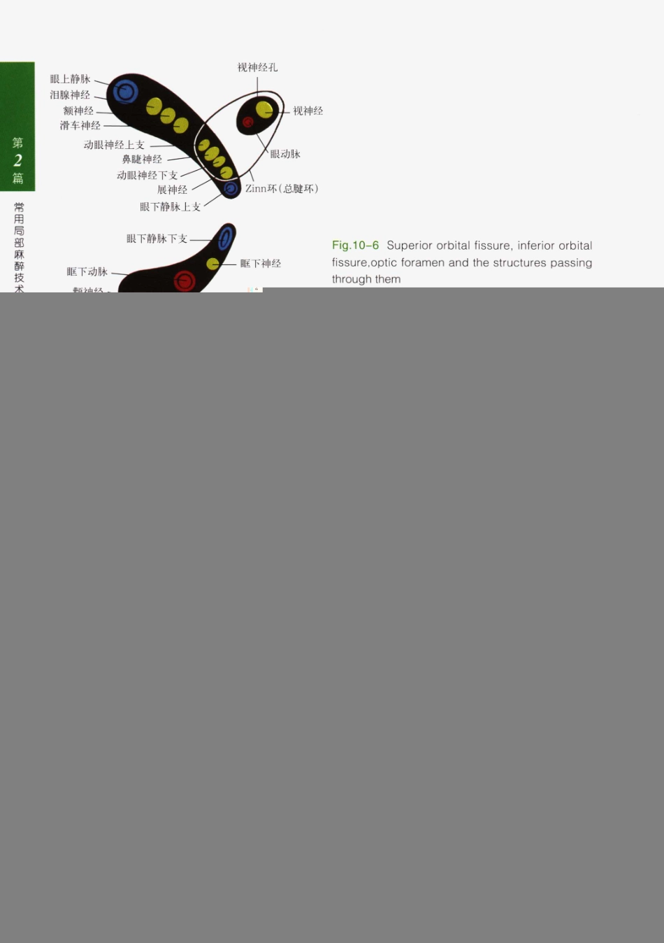 临床局部麻醉技术_126-150.pdf_第2页