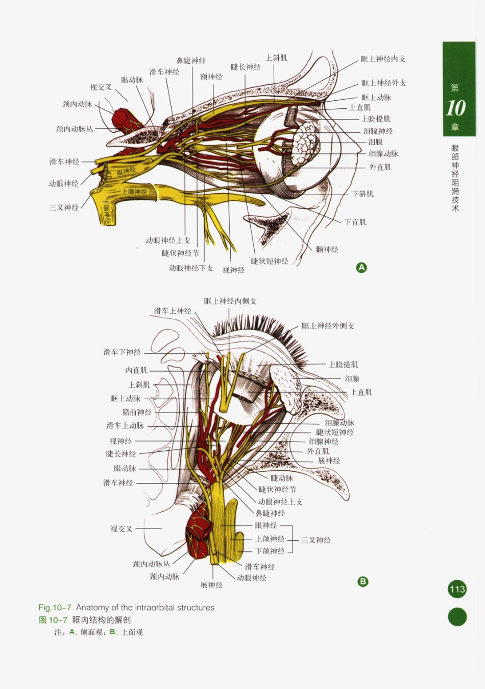 临床局部麻醉技术_126-150.pdf_第3页