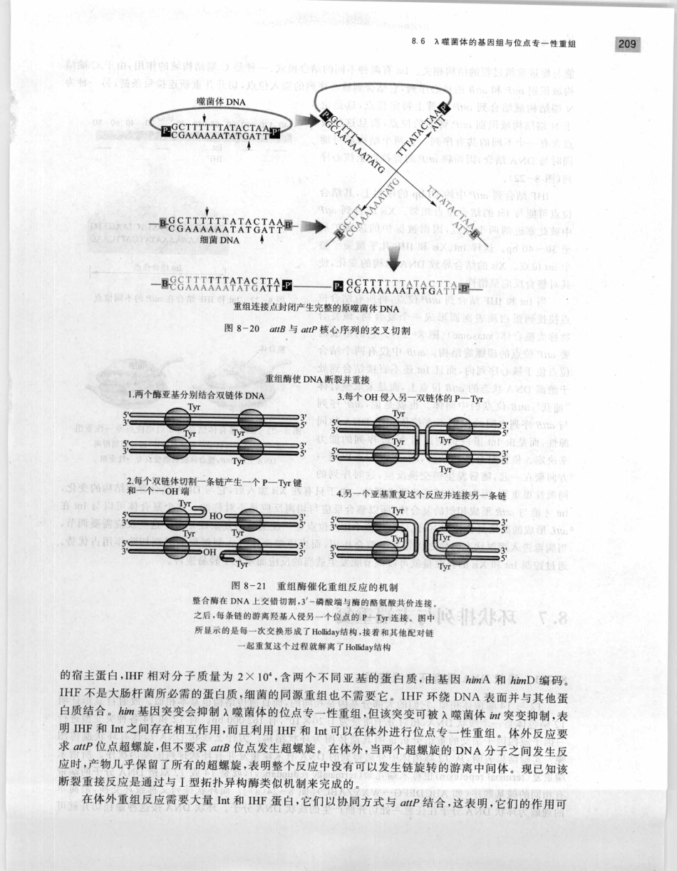 遗传学 第2版_11951378_221-240.pdf_第1页