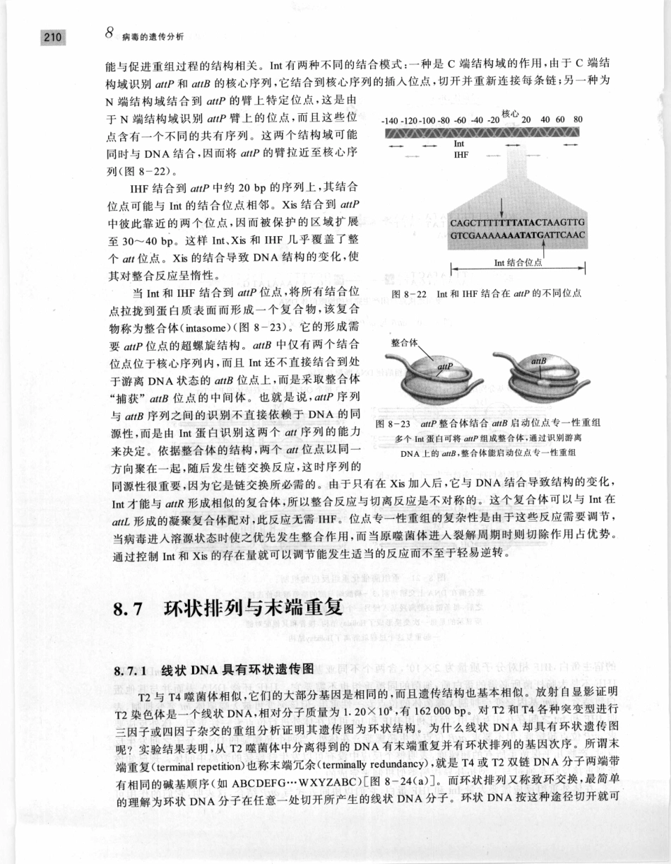 遗传学 第2版_11951378_221-240.pdf_第2页