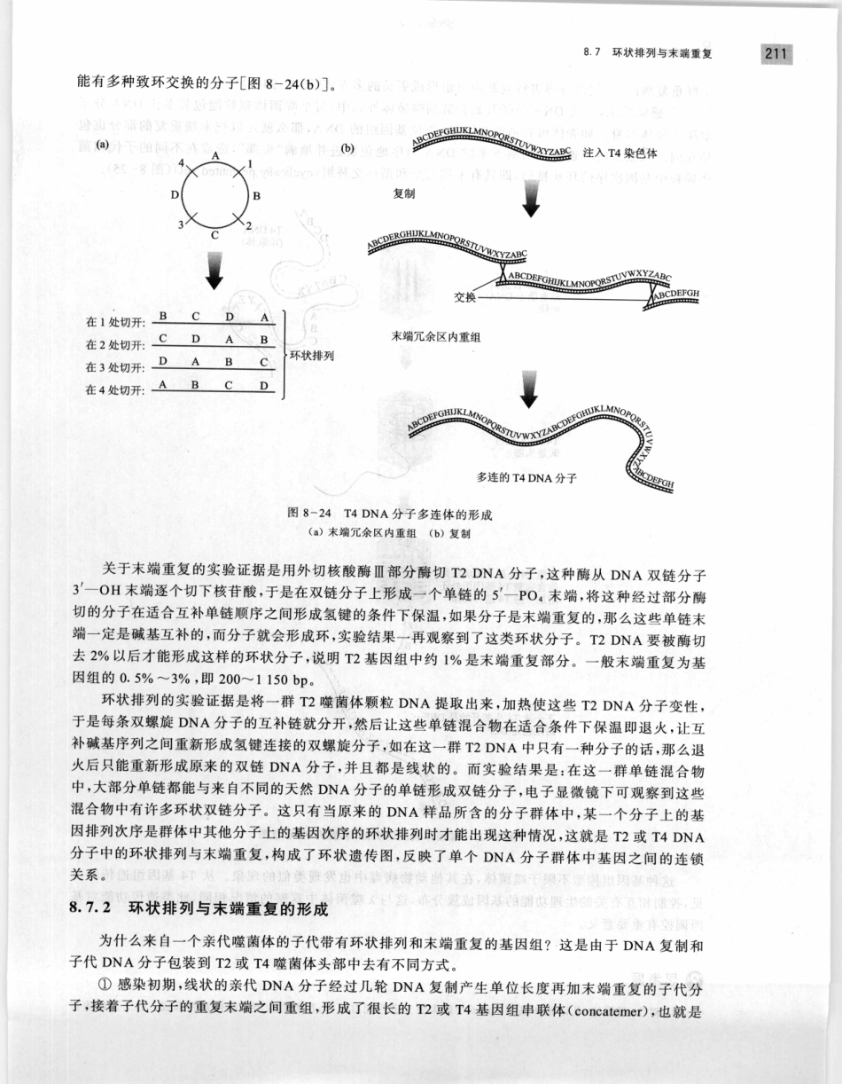 遗传学 第2版_11951378_221-240.pdf_第3页