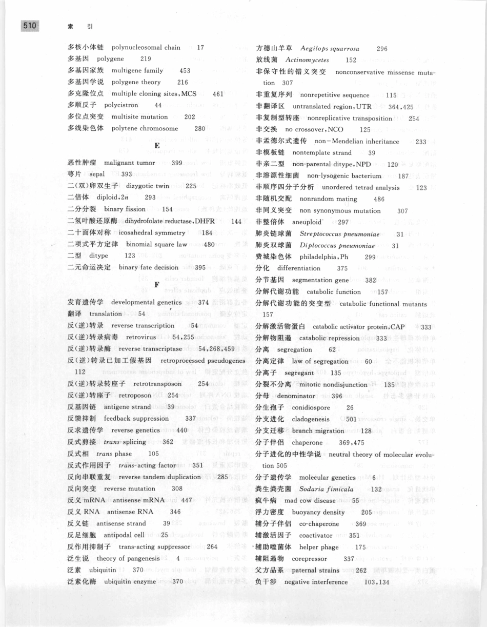 遗传学 第2版_11951378_521-540.pdf_第2页